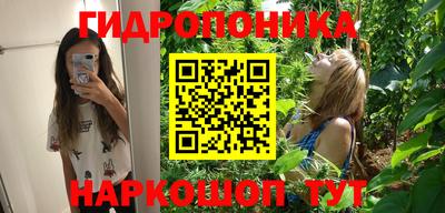 трава Гай