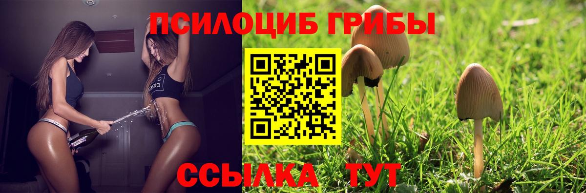 Галлюциногенные грибы прущие грибы  Вход с VPN  Омск 
